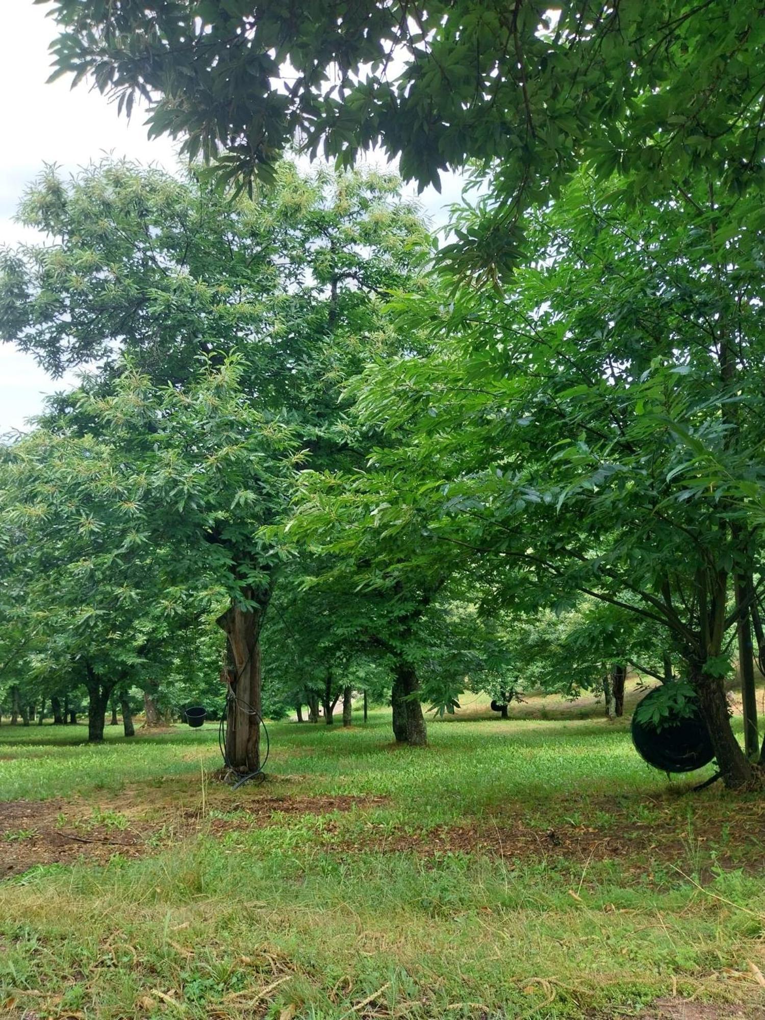 Du Doubs Au Doux Villa Lamastre Kültér fotó
